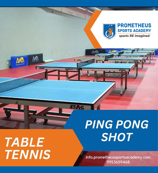 Table Tennis aka Ping Pong academy at Sports Academy adjacent to Prometheus School in JP Wishtown!